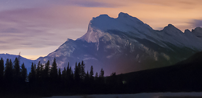 example of the cover of cesa journal